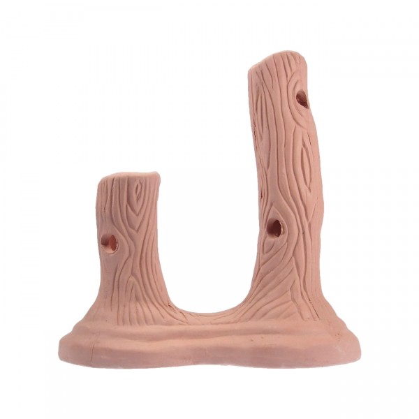 Garnelenstamm BIG doppelt 12cm und 18cm