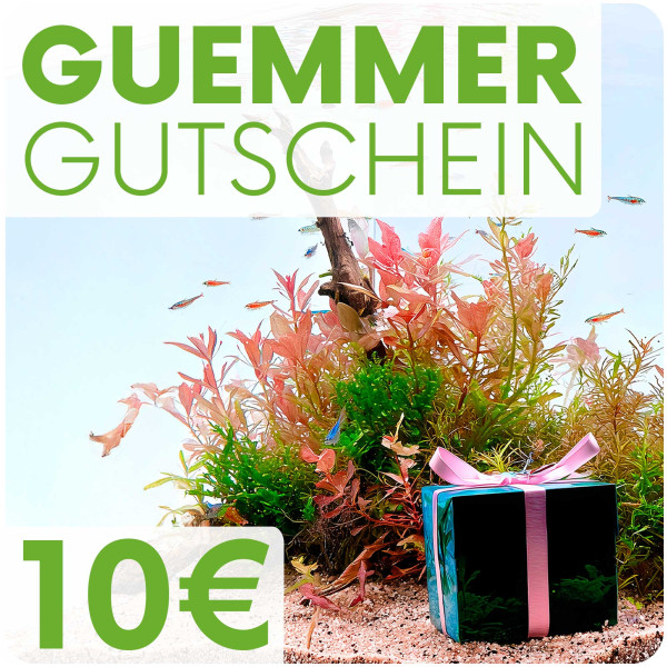 Garnelen-Guemmer Gutschein 10 Euro