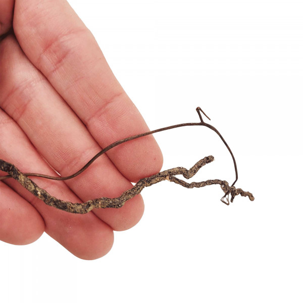 WIOdecor-Roots | Mini Roots Mix | Details Hand