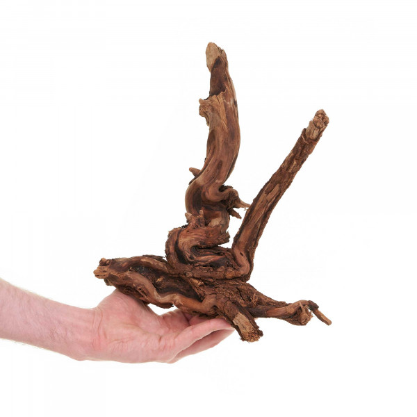 Flusswurzel, Driftwood | Einzelstück Premium 25-40cm