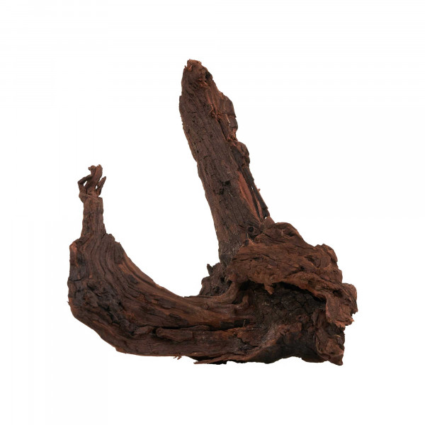 Flusswurzel, Driftwood | Einzelstück Premium 10-25cm