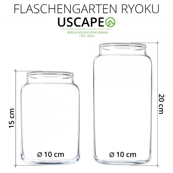 Flaschengarten Wabi-Kusa Set | LED inkl. Glas