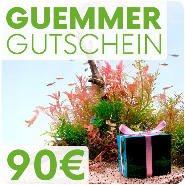 Garnelen-Guemmer Gutschein 90 Euro