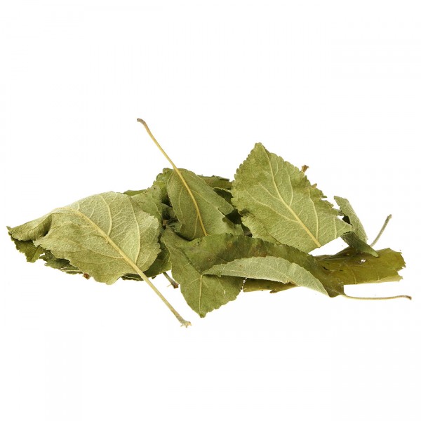 Apfelbaumblätter