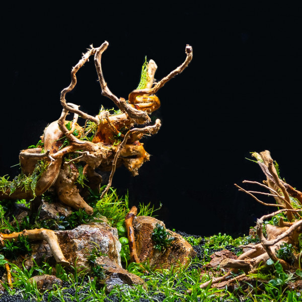 Fossilized Wood, Stein Hardscape Aquarium