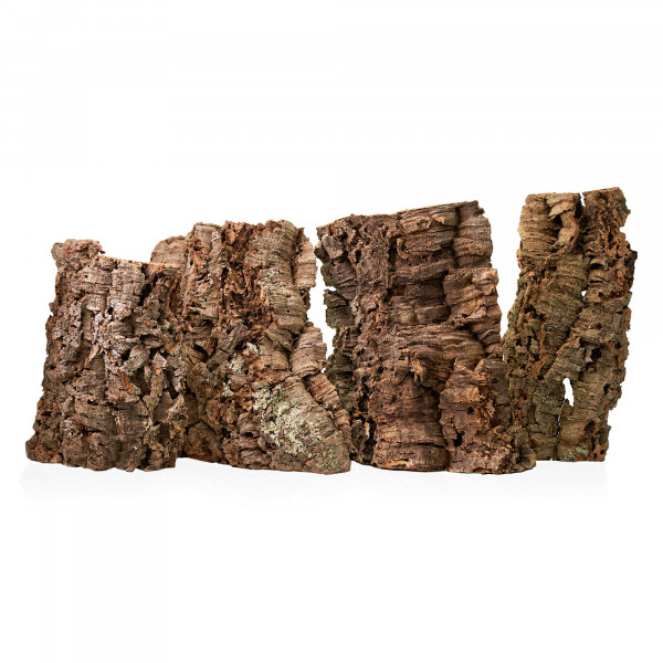 Korkplatten für Terrarium | 30-50cm Gruppe
