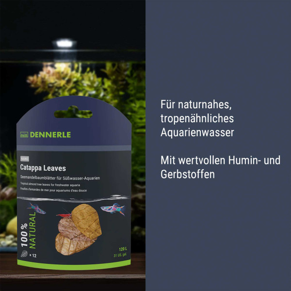 Dennerle Nano Catappa Leaves | Seemandelbaumblätter - 12 Stück
