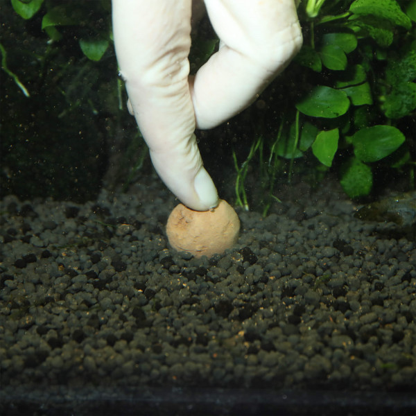 JBL Proflora die 7 Kugeln im Aquarium