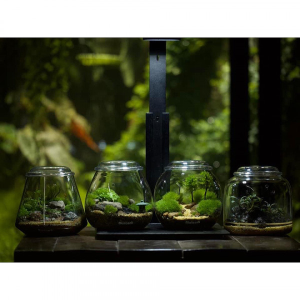 alle bioloark bubble cups im vergleich