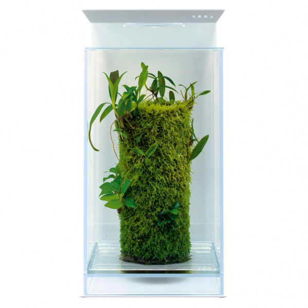 DOOA Magnet Light Stand 20H mit DOOA Terra Base