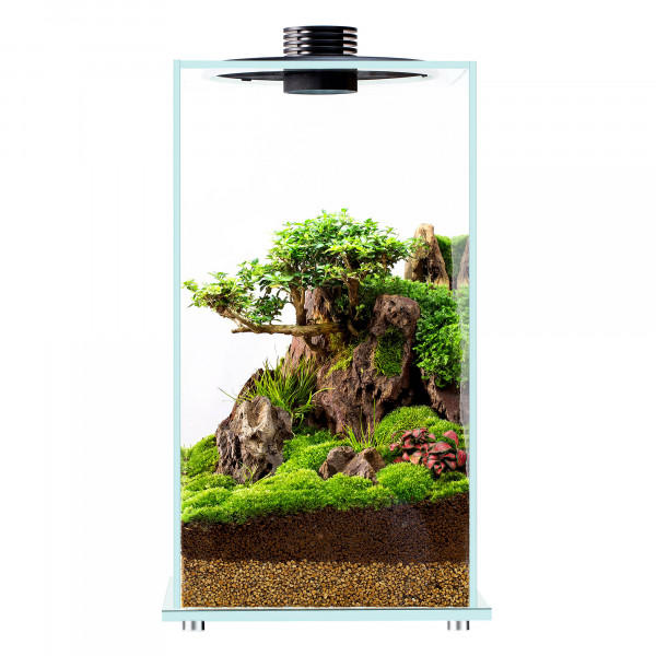 Bioloark Bio Bottle FD 250 Mini Terrarium für Wabi-Kusa und tropische Pflanzen günstig online kaufen