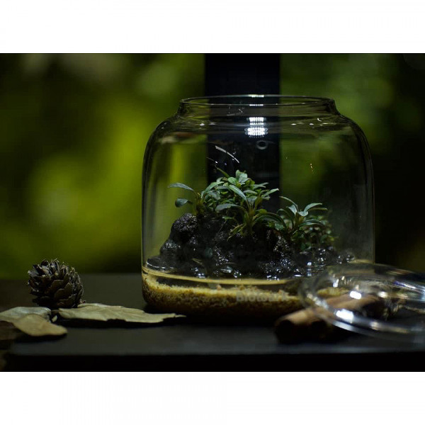 bioloark bubble cup ONE eingerichtet