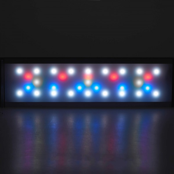 Twinstar 2 LEDs CA