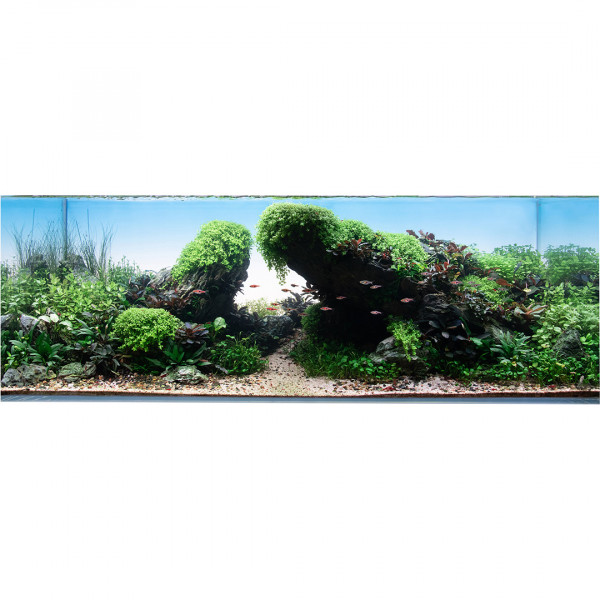 Iwagumi-Aquarium-Einrichtungsbeispiel7HtOW2qMS1ROa