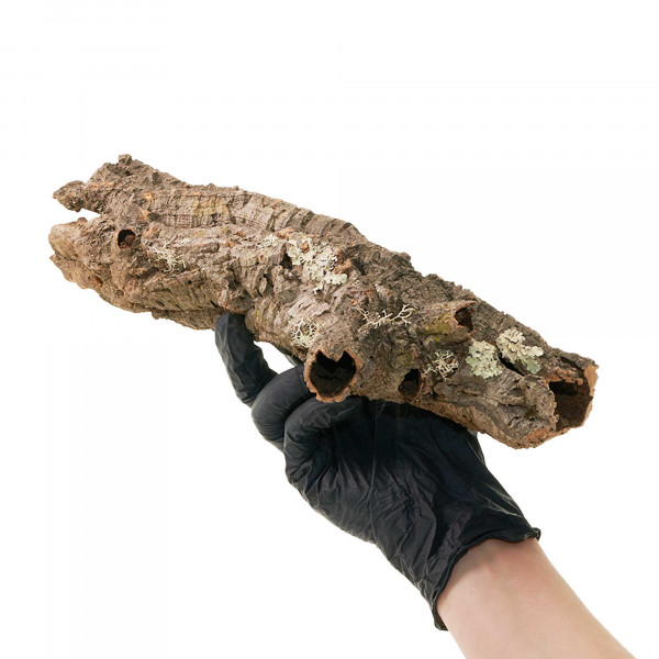 Korkröhren für Terrarium | Natürliche Verstecke und Klettermöglichkeiten Einzelstück
