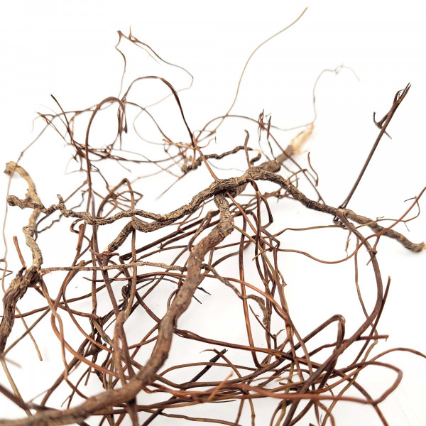 WIOdecor-Roots | Mini Roots Mix | Details