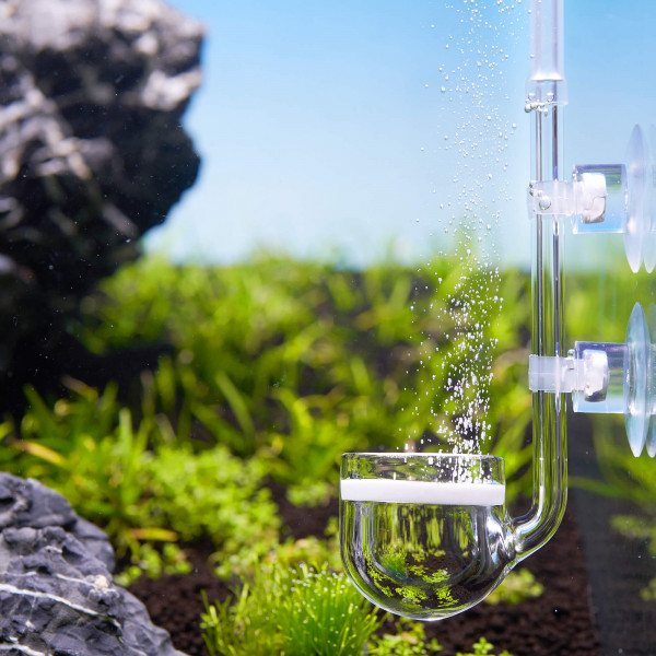 USCAPE-CO2-Diffusor-Glas-I-Pipe