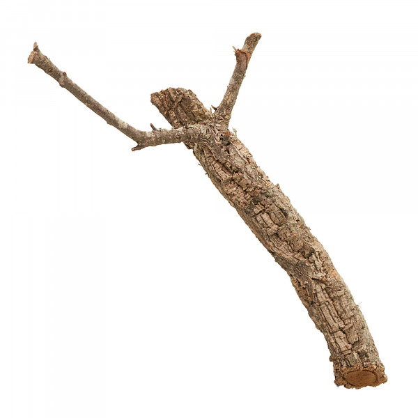 Naturkorkäste für Terrarium| Kork-Tronchos - ca. 60cm Einzeln