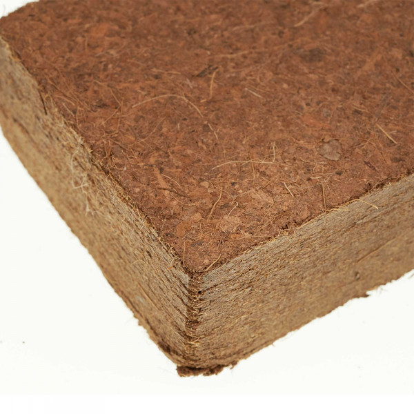 Kokosziegel 650g | 8l Kokoserde im gepressten Block