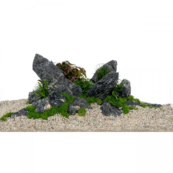 Mini-Landschaft schwarz Set