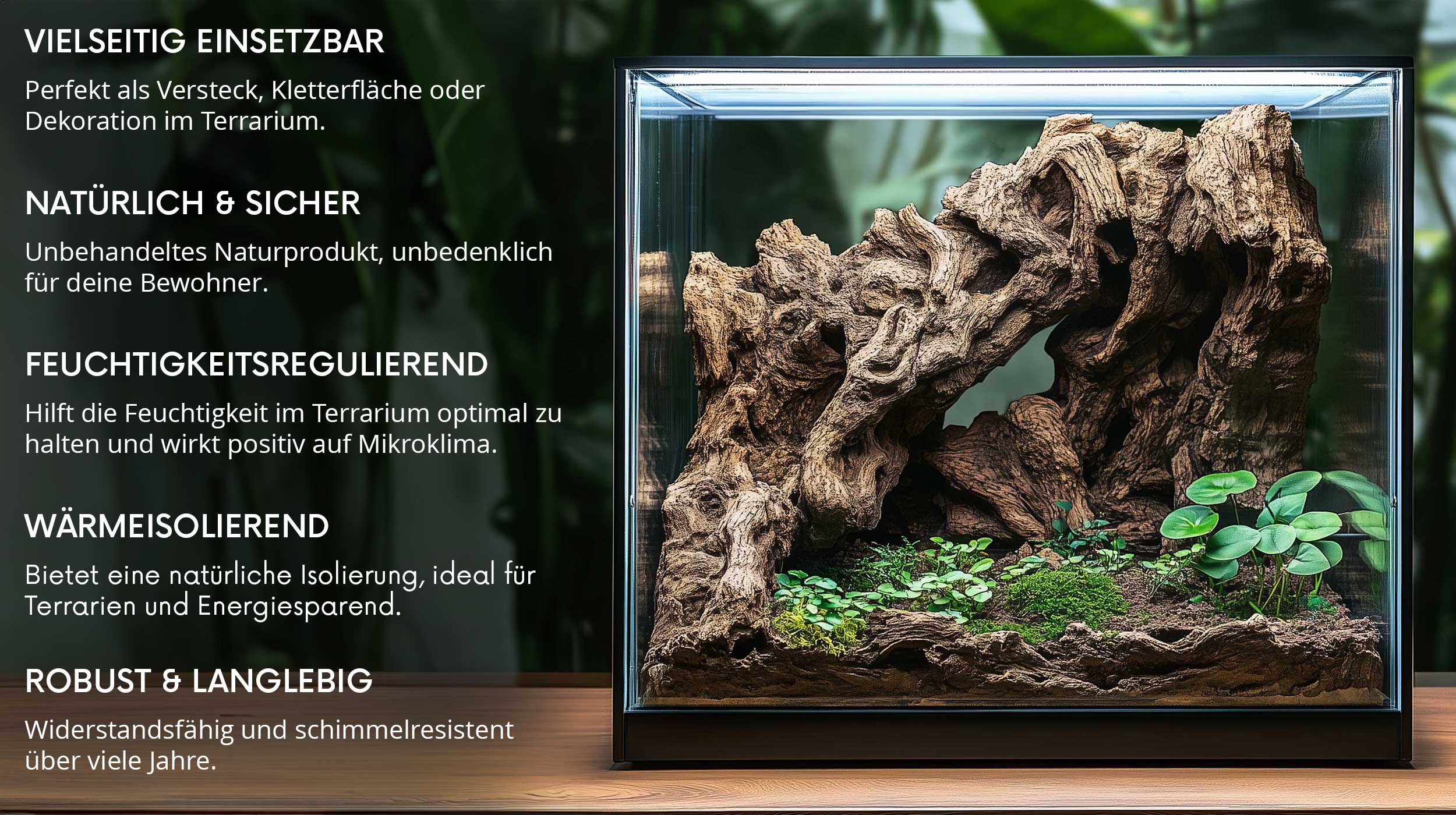 Vorteile und Beispiele von Kork im Terrarium