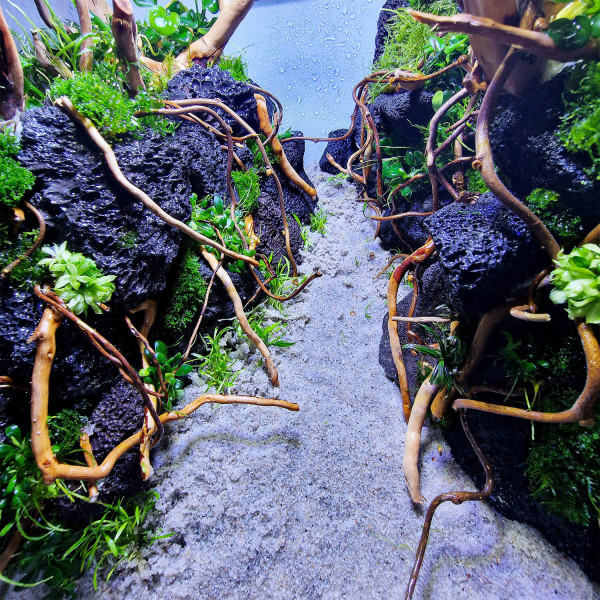 WIO decor roots wurzelholz dekoration