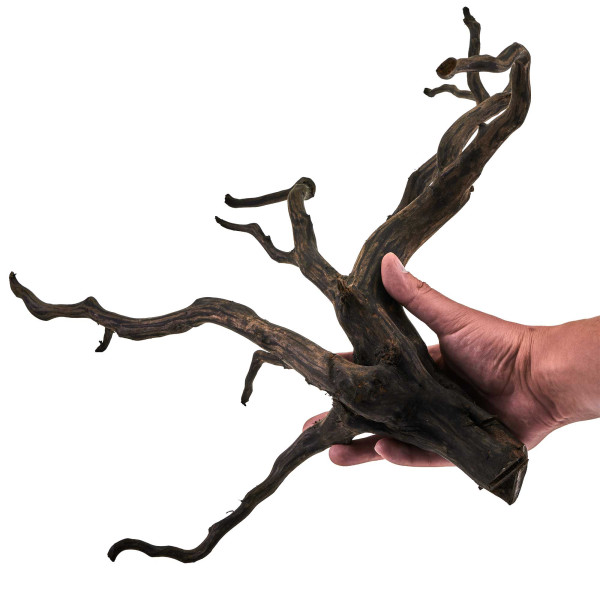 Black Wood Wurzel | Set L Einzelstück größe