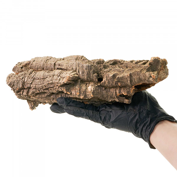 Korkröhren für Terrarium | Natürliche Verstecke und Klettermöglichkeiten Einzelstück