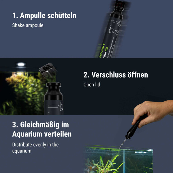 Dennerle Bacto Elixier Bio | Filterbakterien - 50 ml