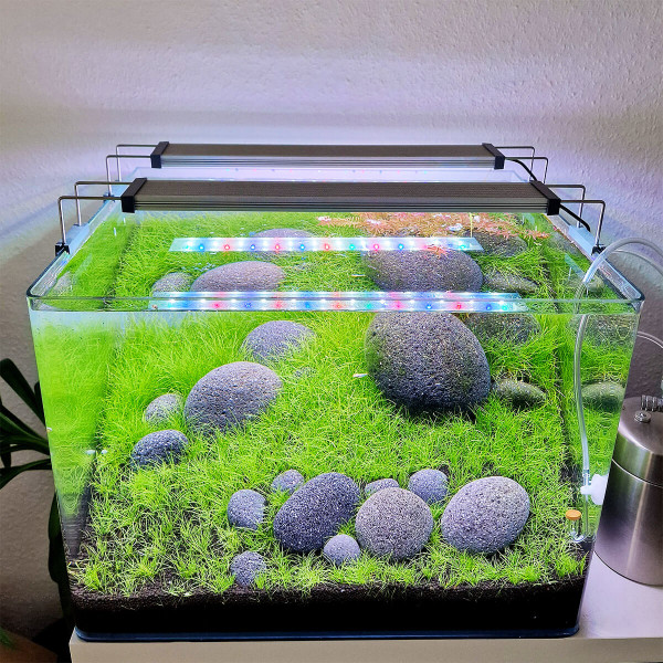Zen Pebbles | Schwarze Flusssteine | Black Riverstone Aquarium Hardscape Set