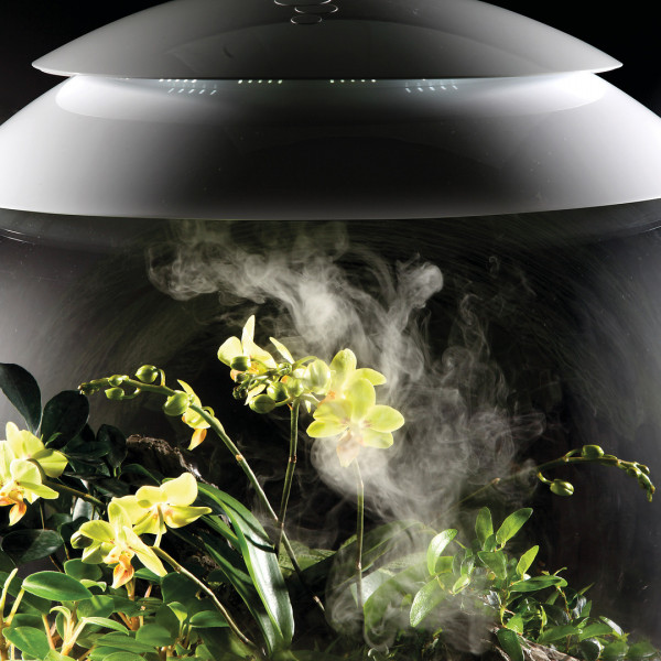 Oase biOrb AIR 60 | Automatisches Pflanzenterrarium