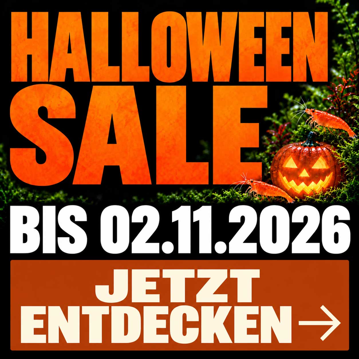 Halloween Sale