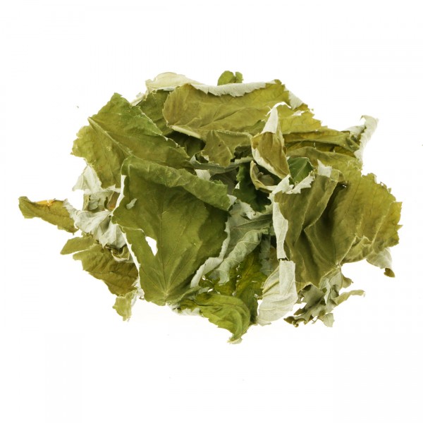 Himbeerblätter