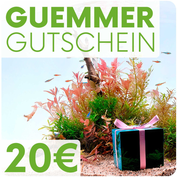 Garnelen-Guemmer Gutschein 20 Euro