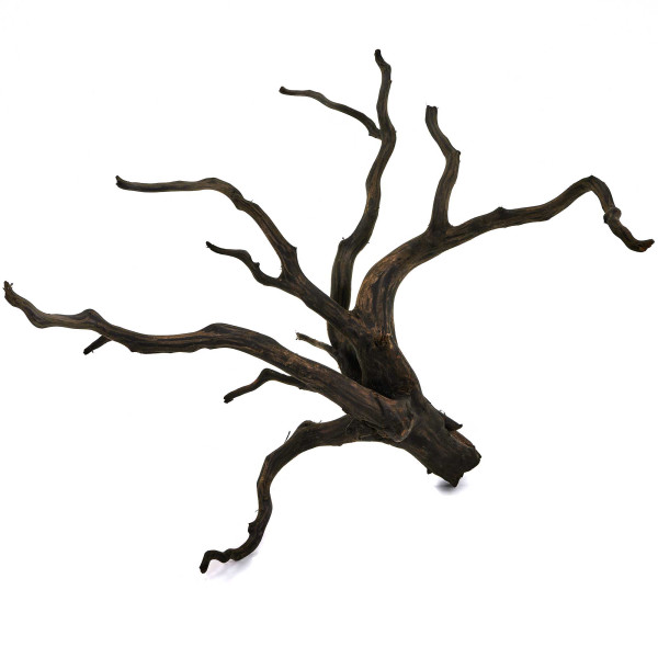 Black Wood Wurzel | Set L Einzelstück