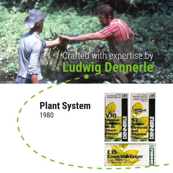 Dennerle | Plant System Set Nano
