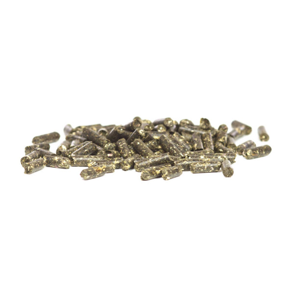 GlasGarten - Shrimp Snacks Löwenzahn - 30g