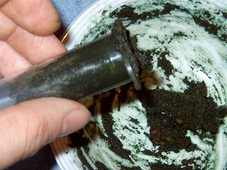Spritze mit Spirulinasticks-Brei