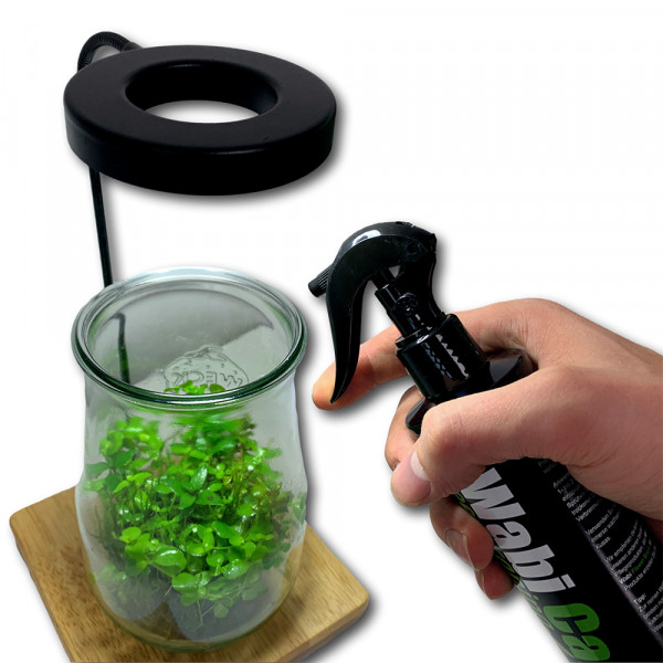 Greenscaping Wab Care Wabi-Kusa Pflege