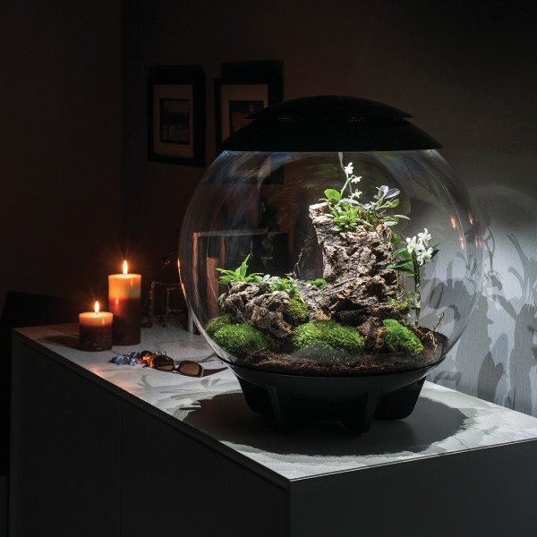 Oase biOrb AIR 60 | Automatisches Pflanzenterrarium