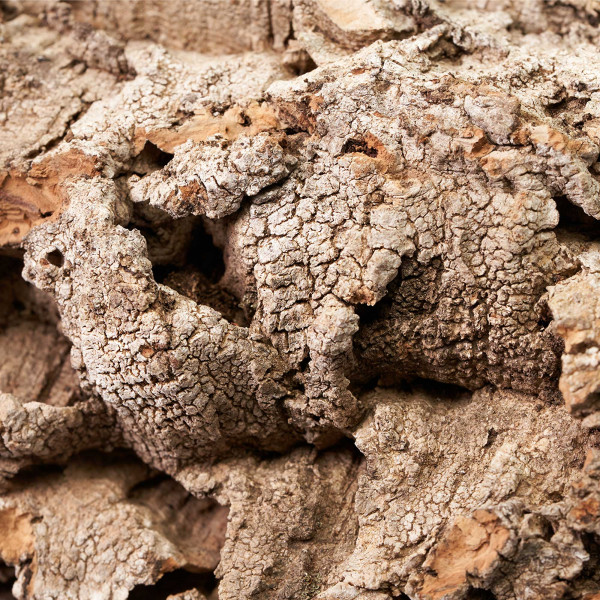 Korkrückwand aus Eichenkork | 60x30cm Detail