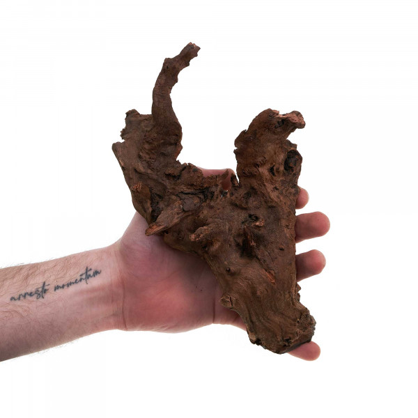 Flusswurzel | Driftwood | Einzelstück