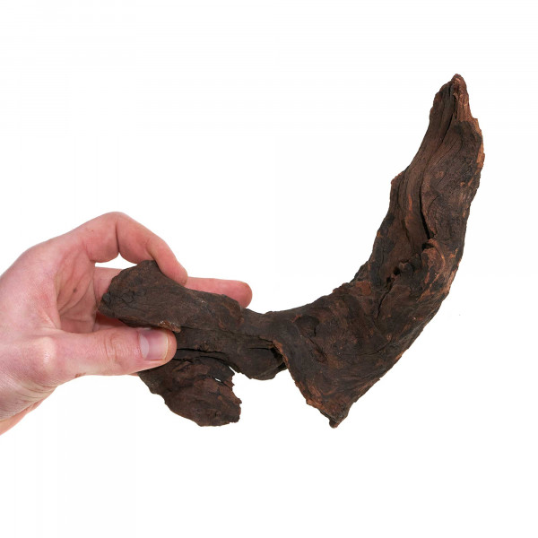 Flusswurzel | Driftwood | Einzelstück