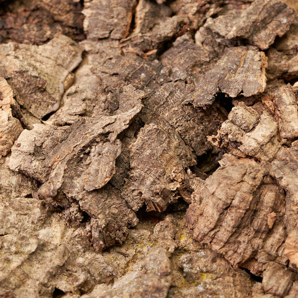 Korkrückwand aus Eichenkork | 60x30cm Detail