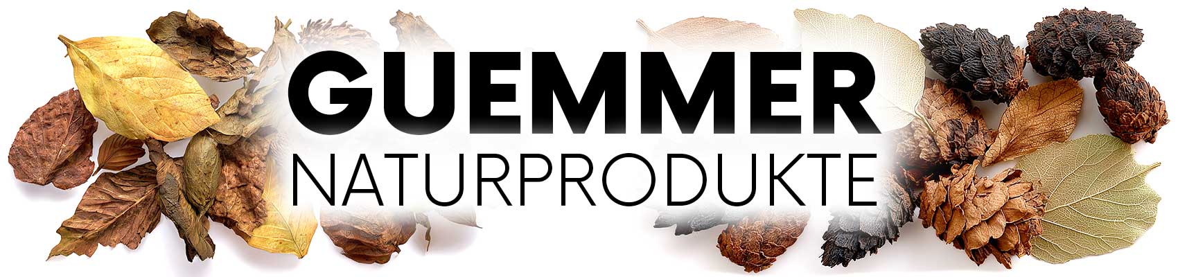 Seemandelbaumrinde für Garnelen