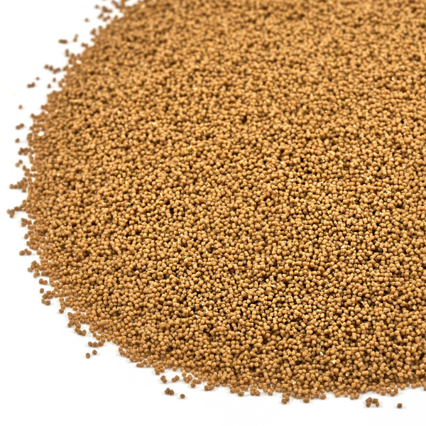 Aquarium Münster Dr. Bassleer BIOFISH FOOD Regular M