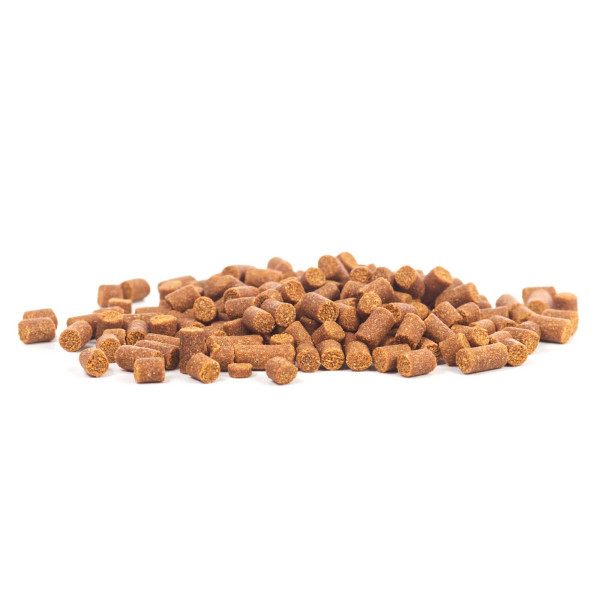 GlasGarten - Shrimp Snacks Artemia - 30g