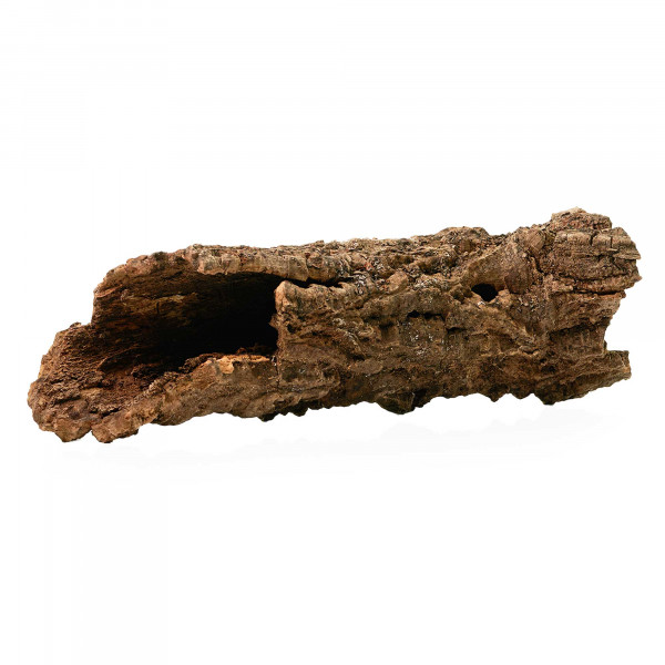 Korkröhren für Terrarium | Natürliche Verstecke und Klettermöglichkeiten Einzelstück