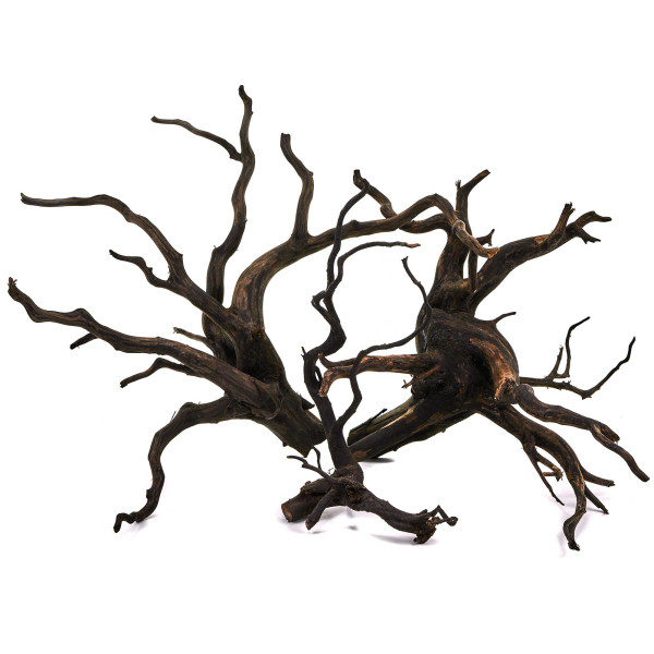 Black Wood Wurzel | Set L