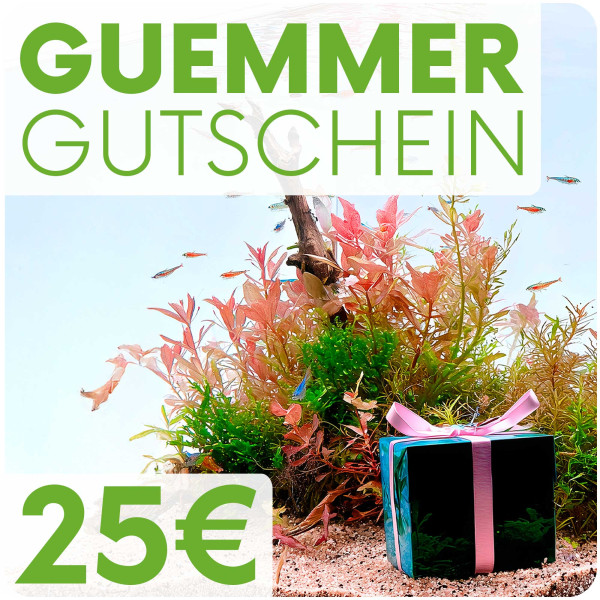 Garnelen-Guemmer Gutschein 25 Euro